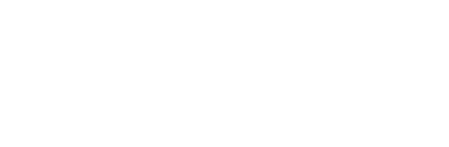 Sponsor